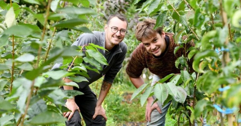 Tanguy et Valentin, pépiniéristes en bio à La Chapelle-sur-Erdre